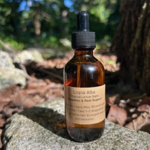 Lippia Alba (Tropical Lemon Balm)