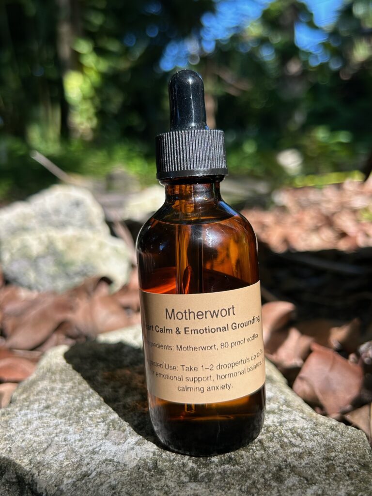 Motherwort tincture in amber dropper bottle